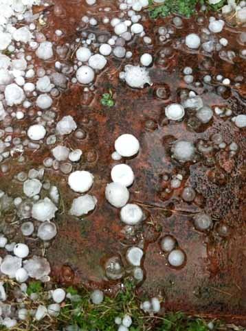 Hail Damage: Commercial and Residential Roofs