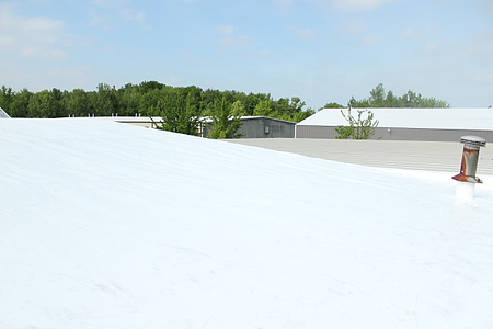 DPI DL roof