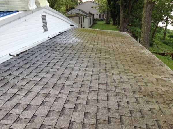 Does Moss or Algae Love Your Shingle Roof?