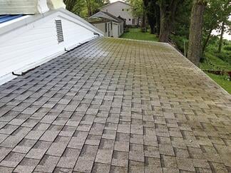 Moss on shingles