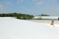 spring clean roof