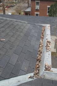 debris in gutters