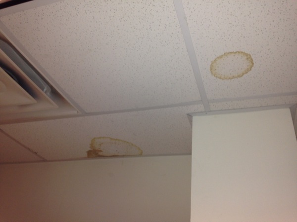 Do I Have A Leaking Roof or Condensation Build-up?