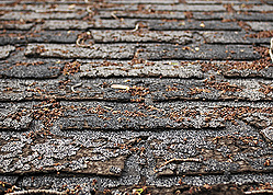 damage shingles