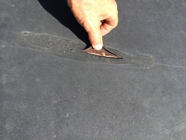 Rubber Roofing Preventative Cleaning and Maintenance 