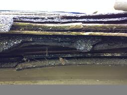 Layers of Shingles