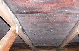 roof/attic_condensation roof/attic_condensation
