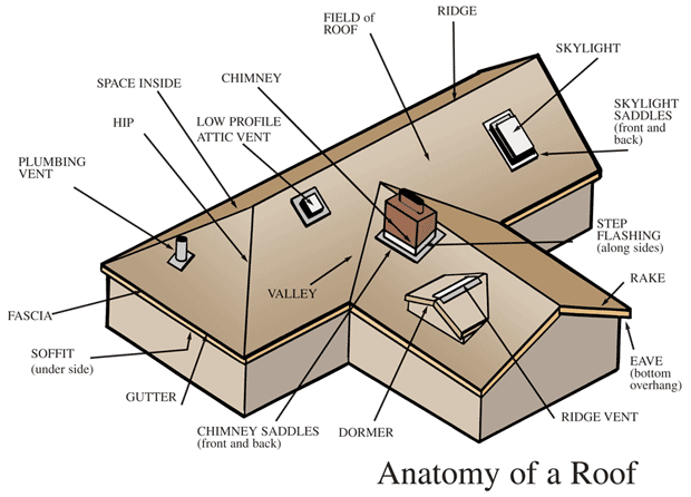 Anatomy-of-a-RoofPNG