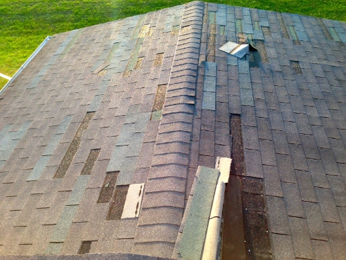 shingle roof 