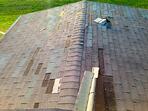 shingle roof 