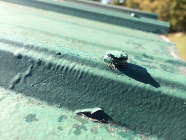 Metal Roof Repair- 5 Common Causes of Metal Roof Leaks