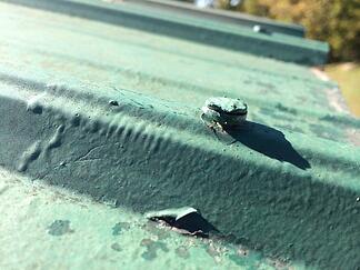 metal_roof_screw