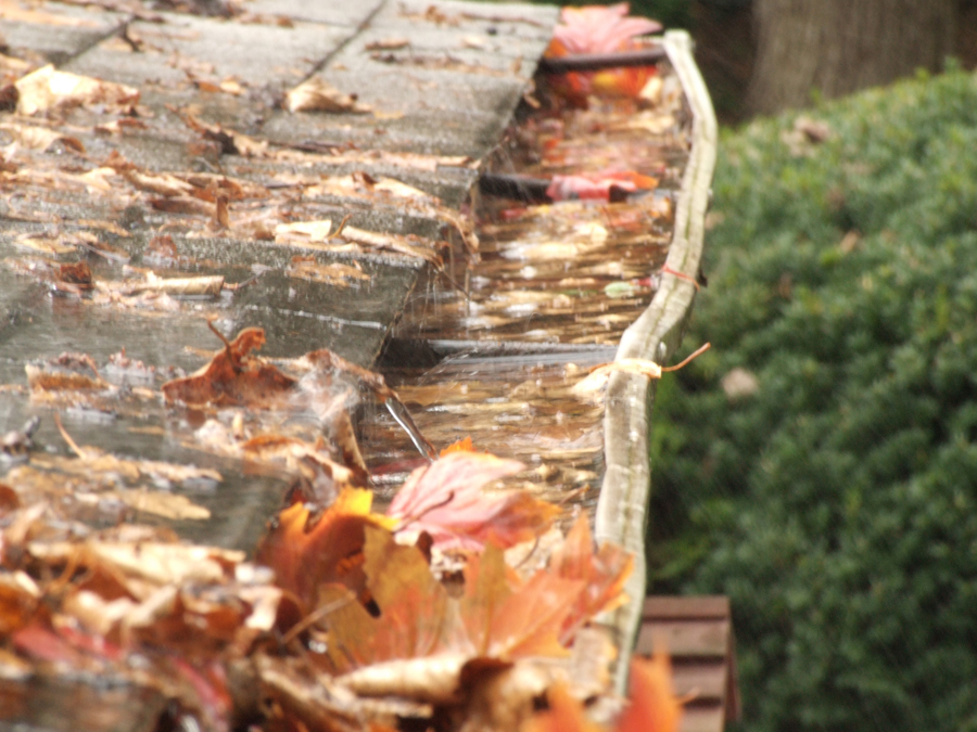 clogged gutter