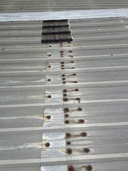 rusted nails