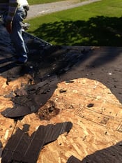 rotten_wood_roof_deck