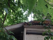 spring_clean_roof-tree_branches