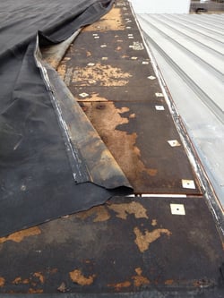 DPI_rubber_roof_wind_damage