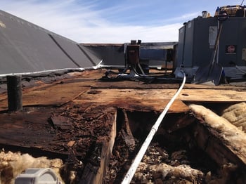 Davis_Nursery_flat_roof_repair