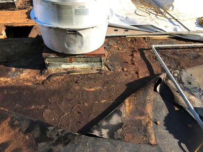 Flat Roof Repair Roof Insulation Damage-EOC.jpg