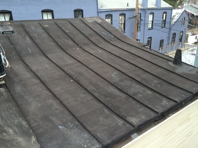 Flat_Roof-_Sharon_Gray.jpg