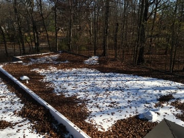 leaves collecting on flat roof.jpg