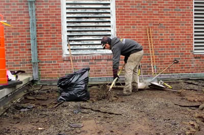 Removing_Old_Roof-_Science_Hall.jpg