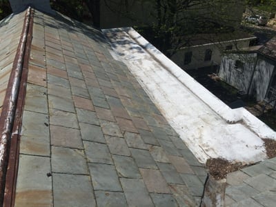 Shingle_Roof_RepairBox_Gutter-_Ivy_Vine.jpg