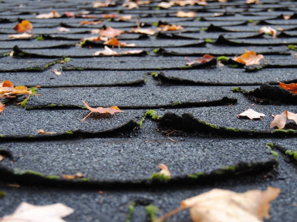 old-asphalt-shingles