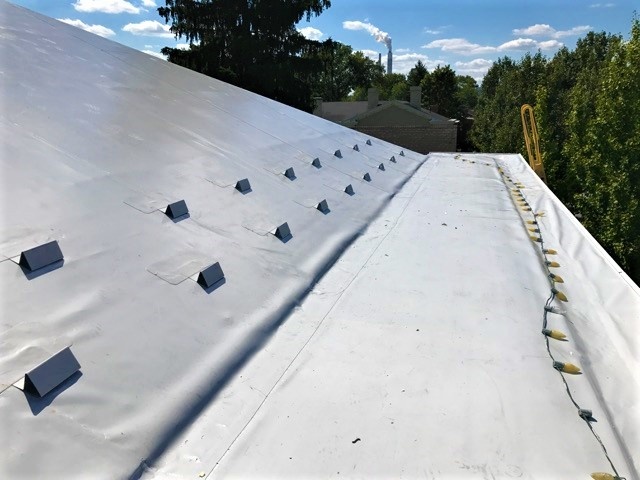 Metal Roof Repair Retrofit Snow Guard- BadApple .jpg